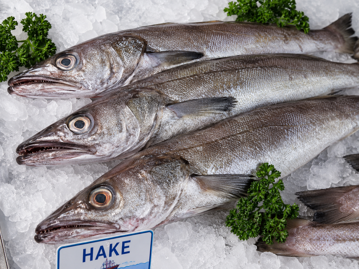 FRESH Hake Portions - 160g (Pack of 4)